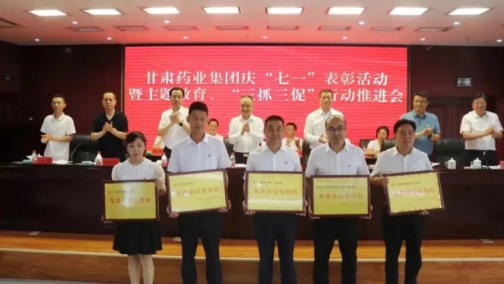 甘肅藥業(yè)集團(tuán)科技創(chuàng)新研究院黨支部榮獲“先進(jìn)基層黨組織”稱號！